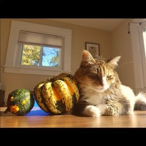 Meet your Posher, Amanda